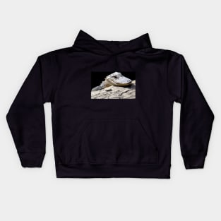 Baby Gator Kids Hoodie